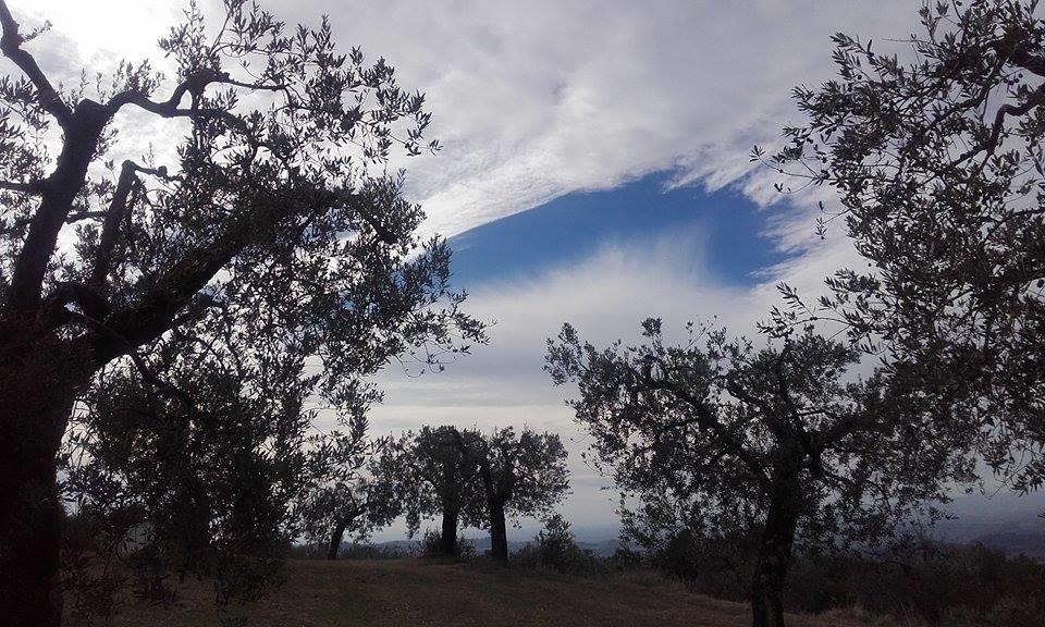 Tramonti E Valli Calvi dellʼ Umbria Dış mekan fotoğraf